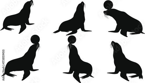 Silhouette collection of playful sea lions balancing balls, circus marine animals vector illustration for entertainment, wildlife, aquatic show, decoration, design
