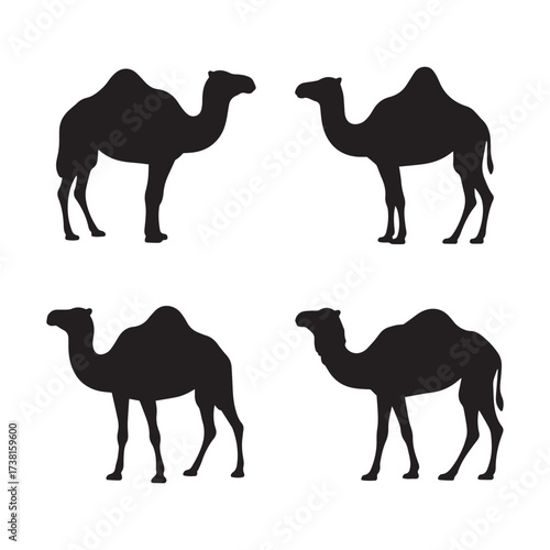 Four Black Camel Silhouettes on White Background