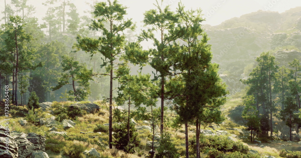 Fototapeta premium Towering green trees rise amidst rocky terrain, bathed in soft morning light. The peaceful atmosphere showcases natures beauty in a remote mountainous area.