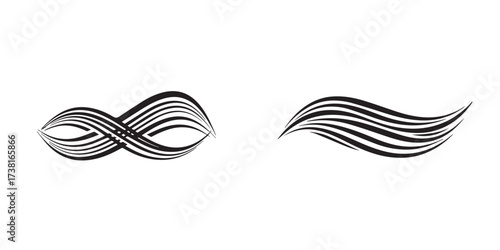 Dynamic Abstract Black Curved Lines Forming Flowing Infinity and Wave Shapes on White Background