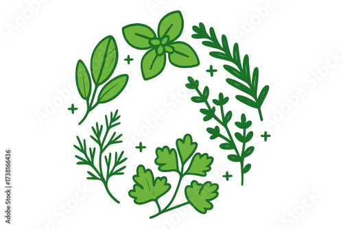 Fresh green culinary herbs and spices arranged in a decorative circular pattern