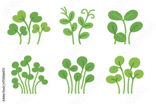 Assortment of fresh green plant sprouts and microgreens growing in different styles