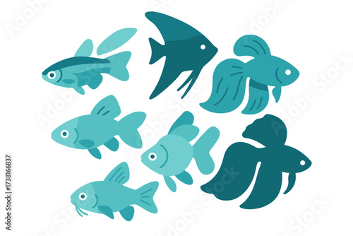 Collection of diverse freshwater aquarium fish in stylized blue and teal colors