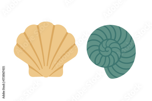 Stylized marine shells featuring a scallop and a spiral nautilus design