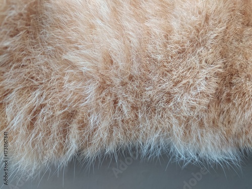 close up of fur texture, animal fur 