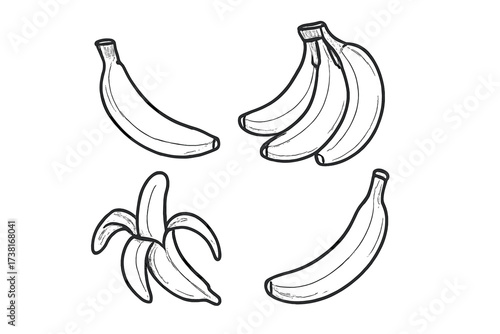 Banana outline illustration set. Vector doodle sketch of hand drawn fruit. Collection includes single banana, bunch of bananas, and peeled banana for healthy food concepts.