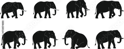 Elephant silhouette vector, walking and sitting elephants, black and white animal poses, minimal wildlife design, safari illustration, nature icon set