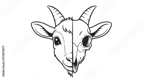 Contrasting existence depiction of a goat's head: half flesh, half skeletal framework