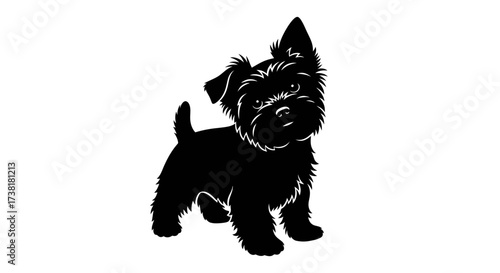 Silhouette of charming terrier puppy with endearing tilted head and fluffy fur coat isolated on