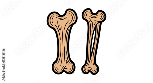 Simple cartoonish illustration showcasing two stylized bones on a white background anatomy