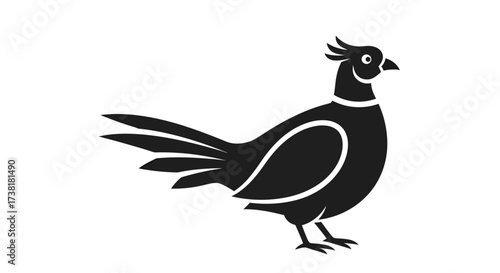 Sophisticated pheasant vector design with ornate details showcases elegant avian illustration for