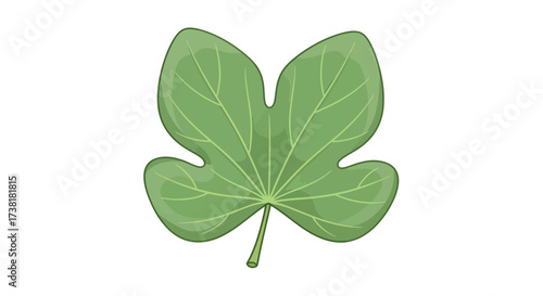 Stylized representation of a single green leaf exhibiting distinct venation details isolated on a