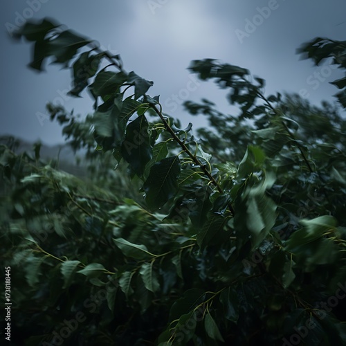 Dynamic Leaves in Storm Wind