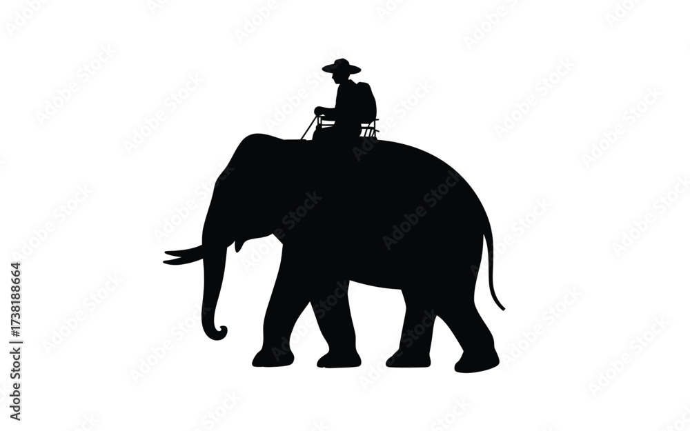 Obraz premium Silhouette of an elephant with a rider on its back