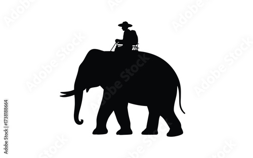 Silhouette of an elephant with a rider on its back