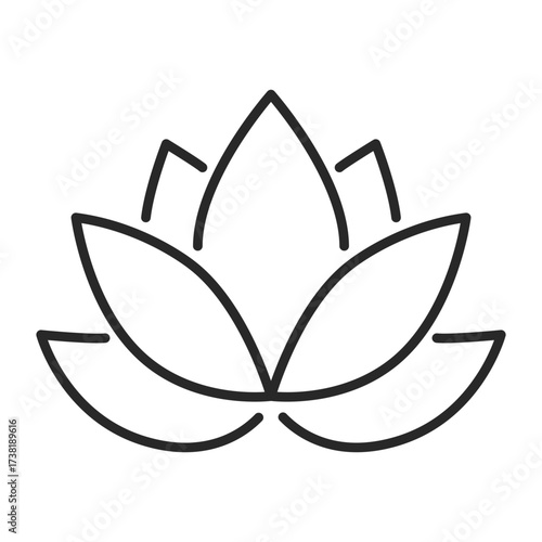 lotus flower vector line icon