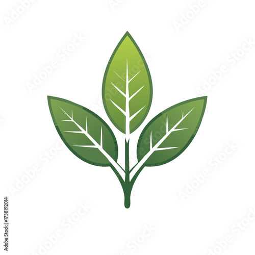 Vibrant green leaves illustration representing nature growth and eco friendly organic plant life