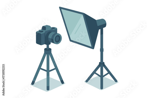 Professional photography camera and softbox light setup on stands for studio work