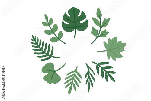 Collection of diverse green leaves forming a natural circular border
