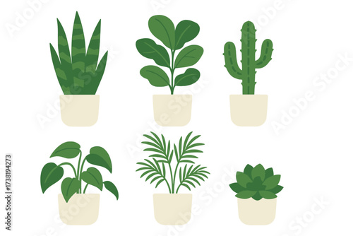 Various potted houseplants and succulents for modern home decor and interior design