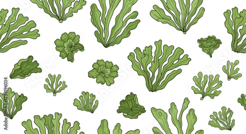 Animated Green Seaweed on White Background Seamless Pattern Illustrative Backdrop