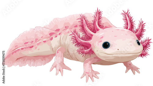Charming Pink Axolotl Isolated on White Background for Photoshoots