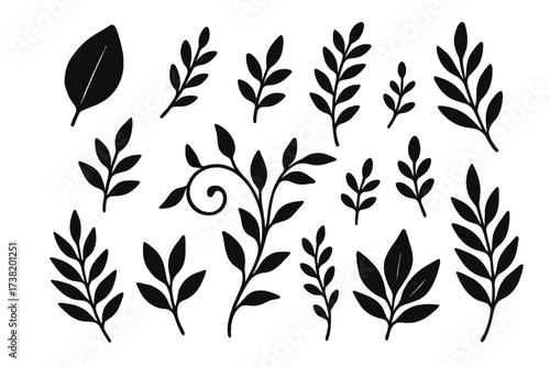 Black silhouette leaf and branch vector set with transparent background. Elegant botanical design collection with various leaf shapes and swirling floral elements for nature and garden themes.