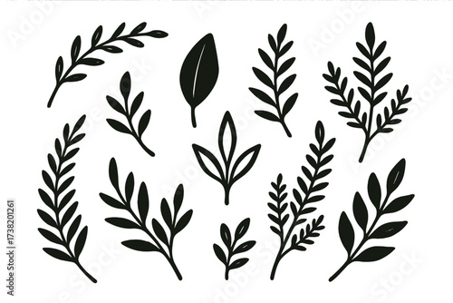 Set of Black Silhouette Leaves and Botanical Branches Vector Illustration, Minimalist Natural Plant Elements, Organic Foliage Clipart for Botanical Design and Eco Themes, Transparent Background