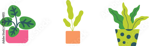 Add vibrant, trendy potted plants to your designs for a fresh aesthetic that brings life and color to any project with these stylish indoor plants