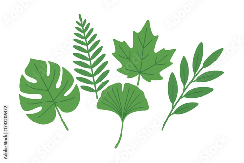 Green botanical leaves assortment with tropical, deciduous, and fern varieties