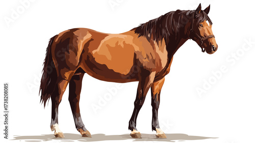 Majestic Brown Horse Standing Isolated on White Background for Equestrian Design Projects