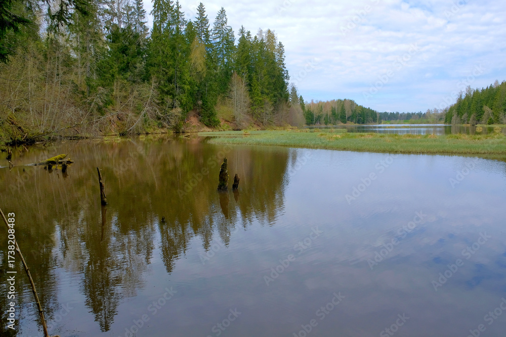 Obraz premium Still Lake Reflecting Forest in Early Spring – Eye-Level View of Serene Water, Lush Greenery, and Cloudy Sky in Remote Natural Reserve