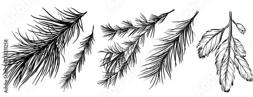 This set features exotic palm leaves in a distinctive, tropical style that blends bold, grunge-inspired doodles with the organic feel of hand-drawn brush work in ink