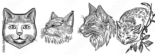 A sleek black cat silhouette serves as a sophisticated graphic design element for logos and illustrations