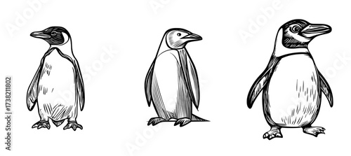 A penguin icon is depicted in a black and white silhouette design