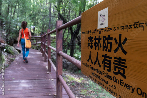 forest trail, Jiaju, Danba county, Garzê Tibetan Autonomous Prefecture, Sichuan,  China