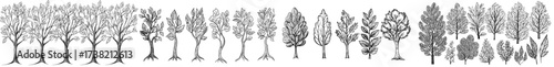 A diverse assortment of tree silhouettes is depicted in a black and white illustration