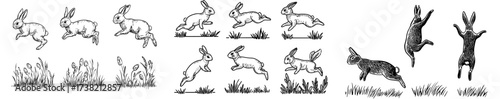 Various poses of rabbits jumping and running are shown in silhouette form