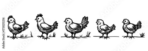 Figure of sweet chickens in varied poses on a plain white background