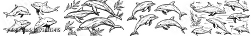 A contemporary depiction of leaping dolphins in a black and white silhouette style is presented
