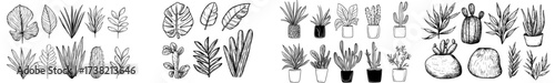 Illustration featuring silhouettes of assorted plant shapes and botanical elements