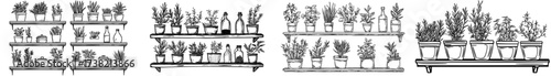 Black and white silhouettes of kitchen items and plants are on shelves