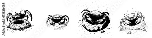 A bright red crab is depicted in a 2D modern illustration hiding beneath a rock on a completely white background