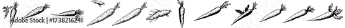 A drawing of a carrot, complete with its root and leaves, serves as a symbol for contemporary vegetarian cuisine