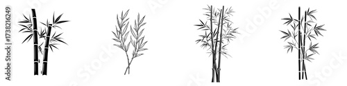 Bamboo is represented as a modern icon isolated on a white background