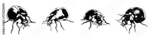 A modern Ladybug is depicted in a watercolor painting set against a white background