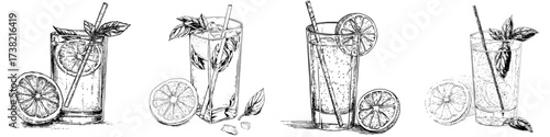 A modern depiction of Lemon Basil Spritzer is presented as a watercolor painting against a white backdrop