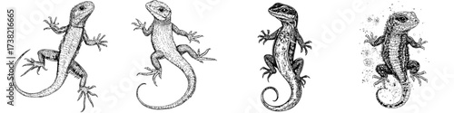 A watercolor illustration of a Gila monster is shown isolated on a white background