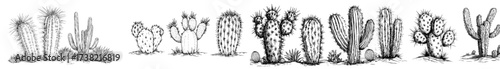 A hand-drawn green cactus is isolated on a white background