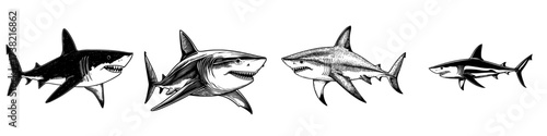 Modern shark icon represented as a sleek silhouette illustration set against a plain white background